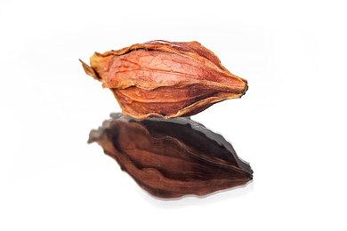 《索尼克 力量》（豪华版）现已上架WeGame 价格89元